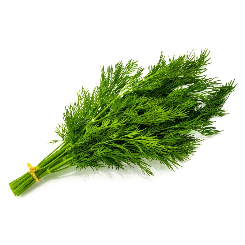 ANETH BOTTE 100G